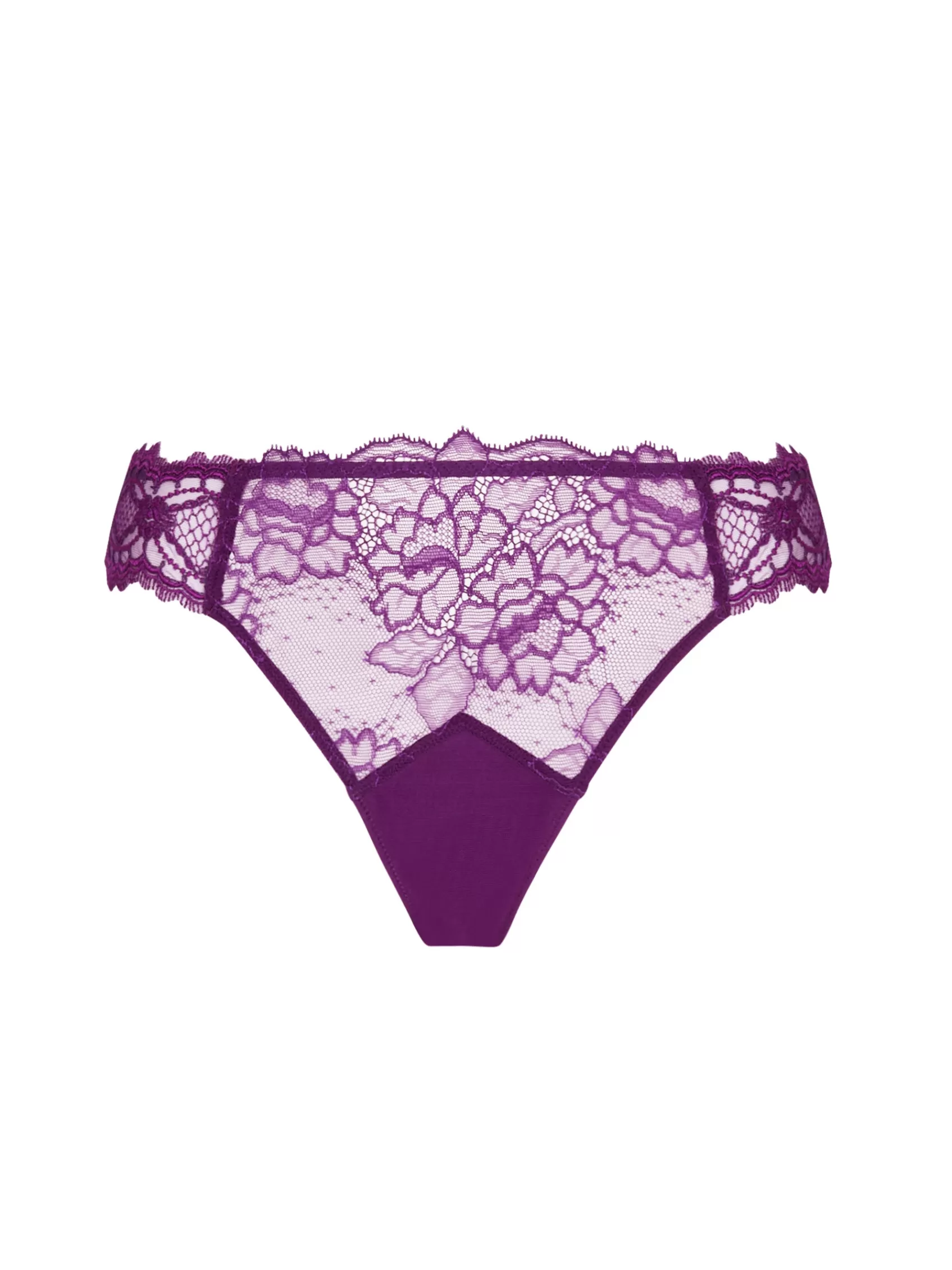 Lise Charmel Italian Briefs^SUBLIME EN DENTELLE Sublime Iris