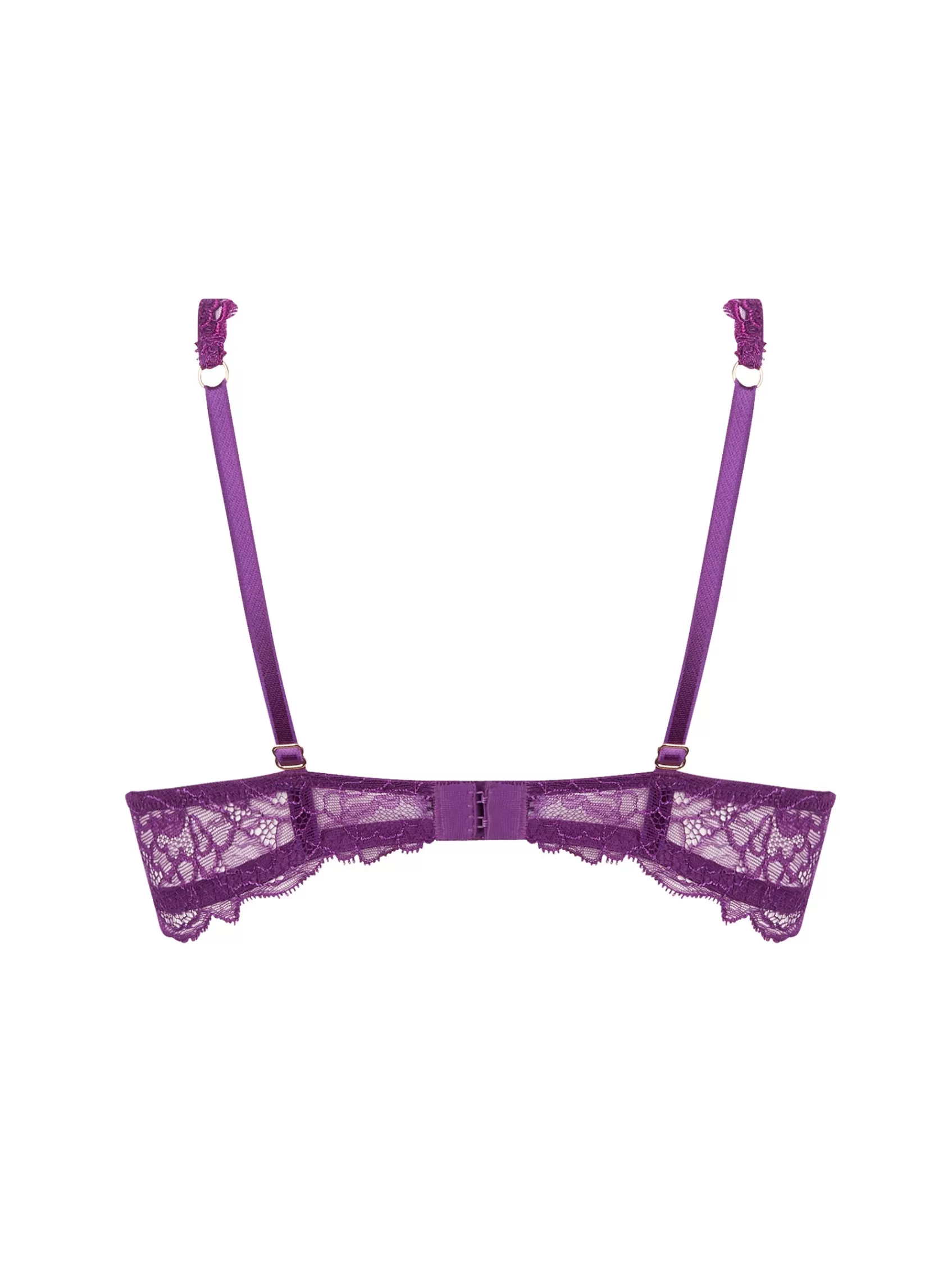 Lise Charmel Push-Up & T-Shirt Bras^SUBLIME EN DENTELLE Sublime Iris