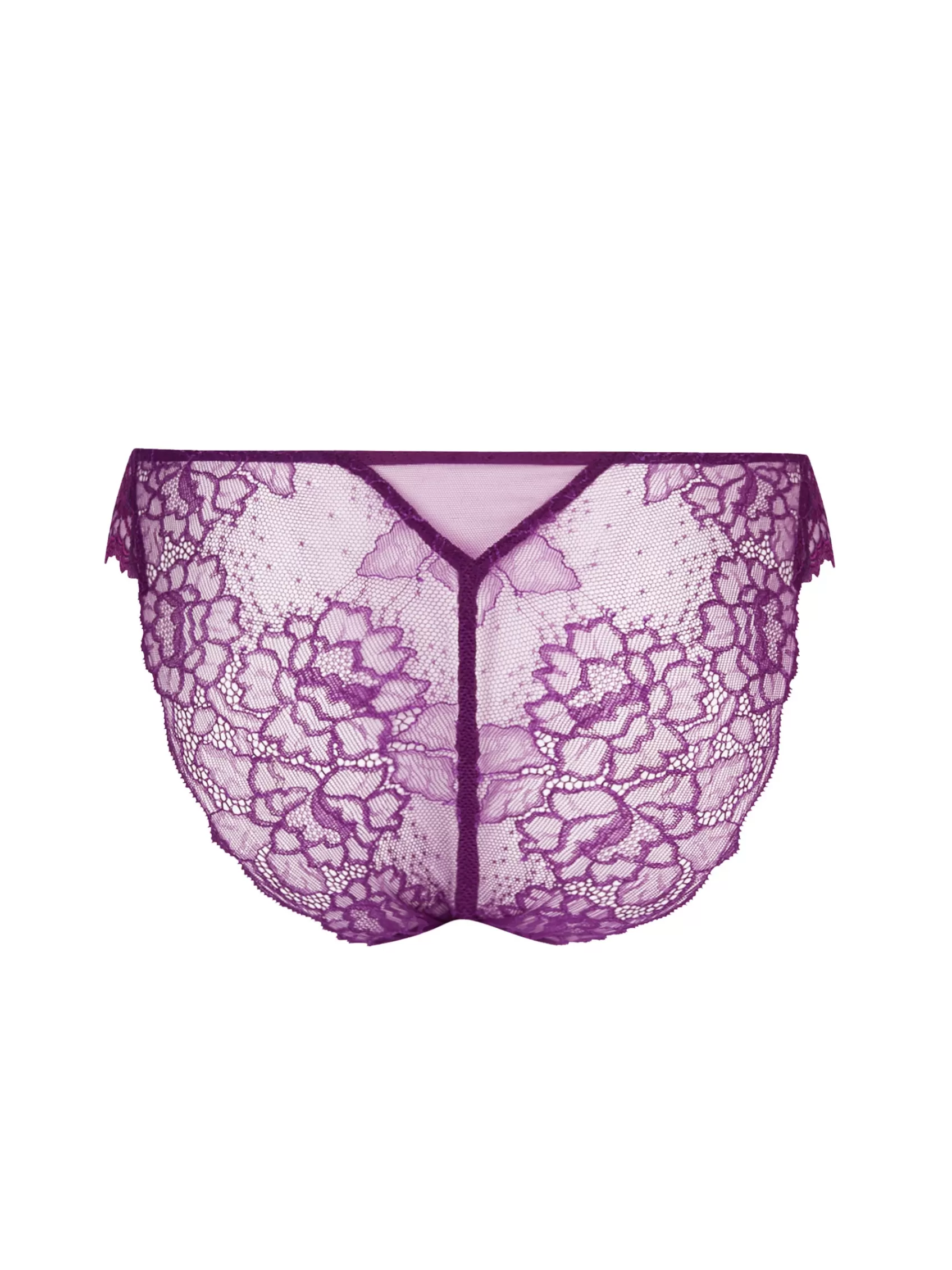 Lise Charmel Italian Briefs^SUBLIME EN DENTELLE Sublime Iris