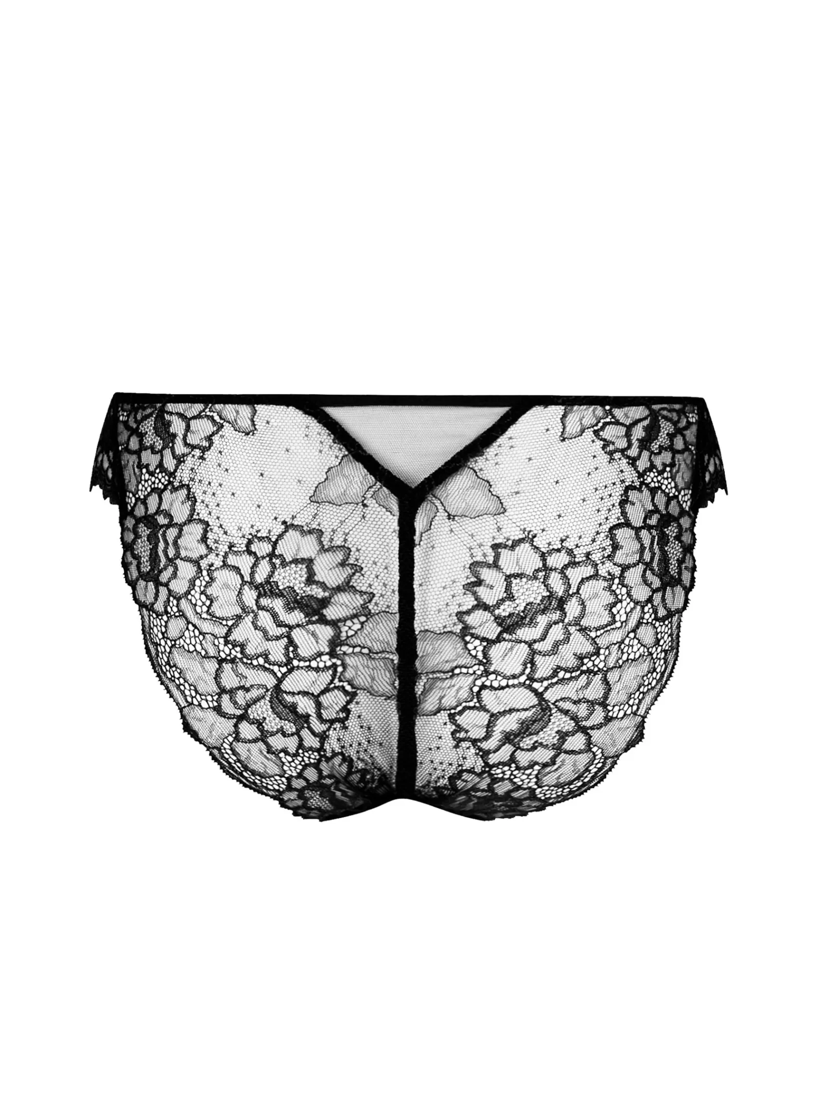 Lise Charmel Italian Briefs^SUBLIME EN DENTELLE Noir