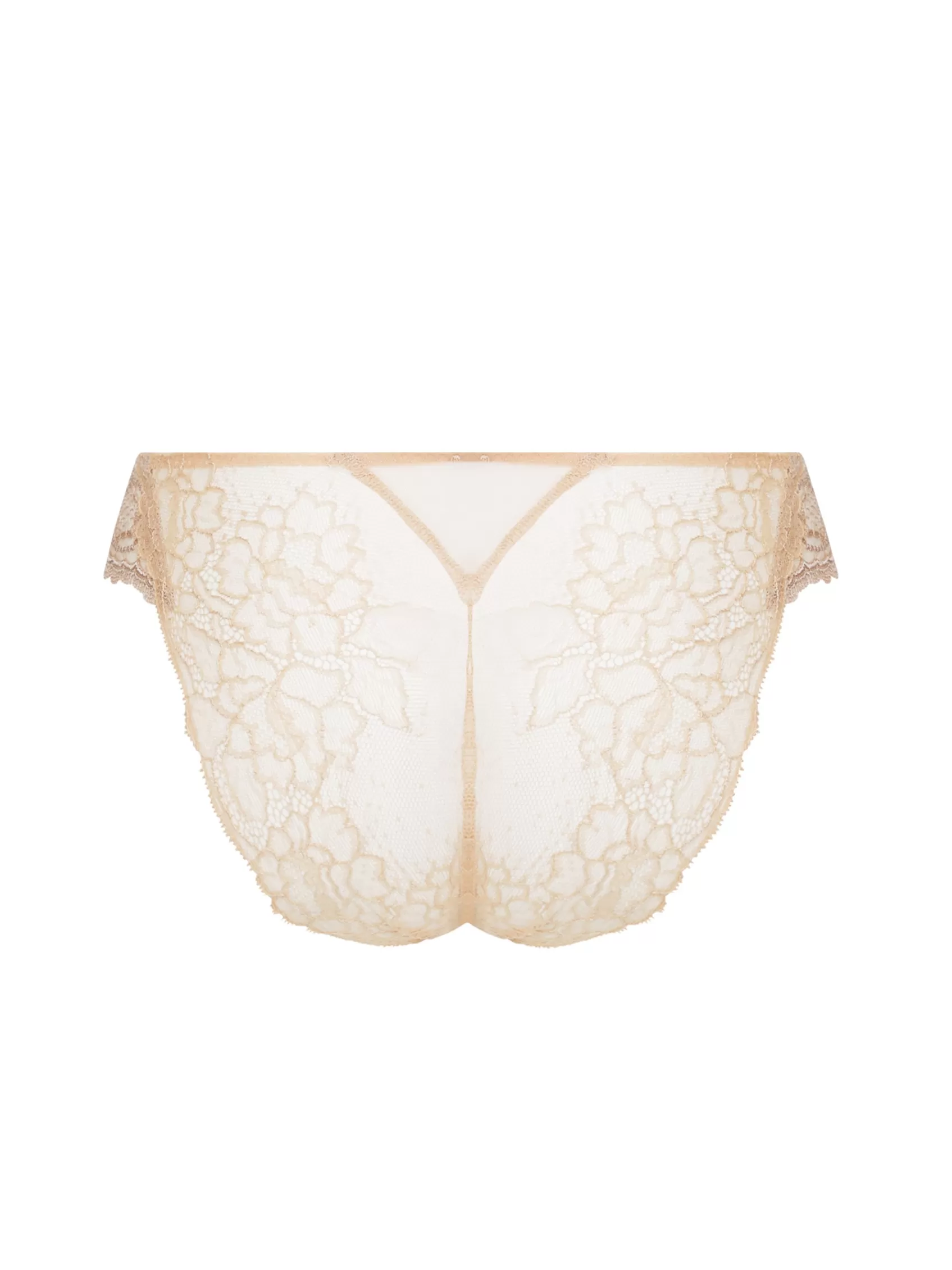 Lise Charmel Italian Briefs^SUBLIME EN DENTELLE Nude Sublime