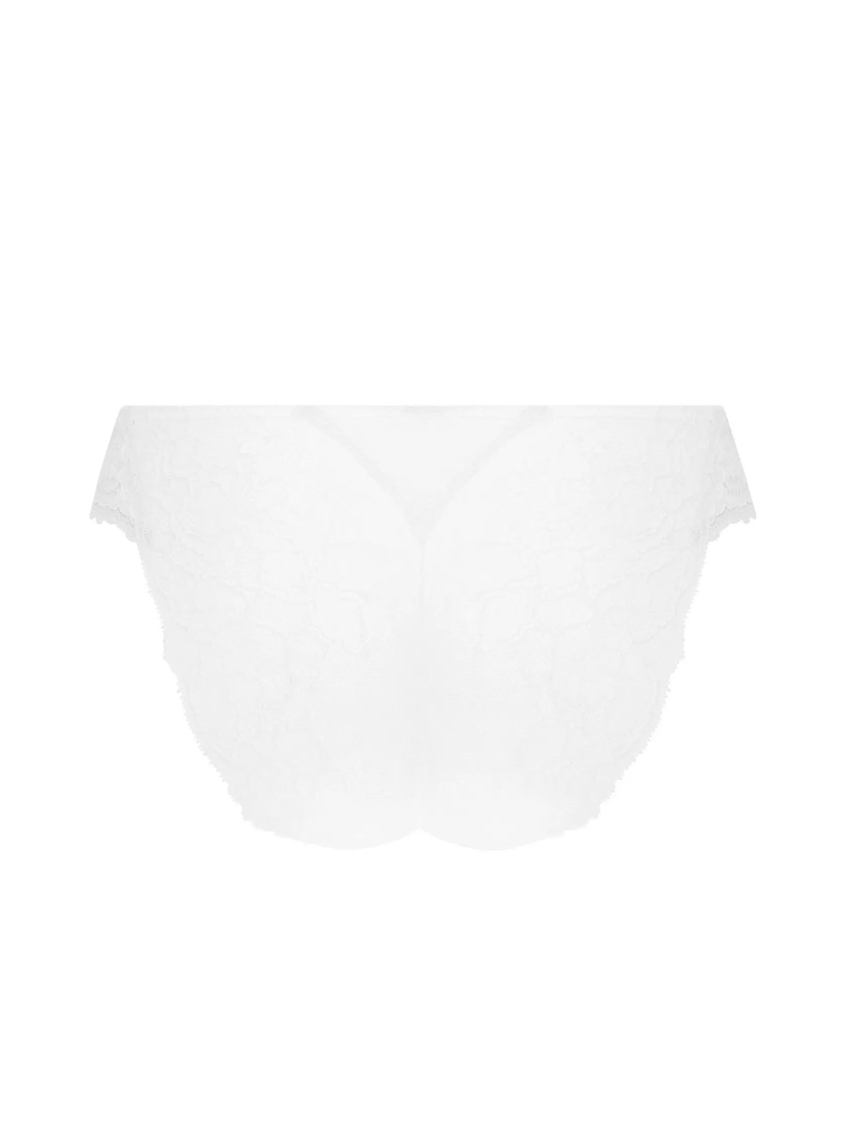 Lise Charmel Italian Briefs^SUBLIME EN DENTELLE Blanc