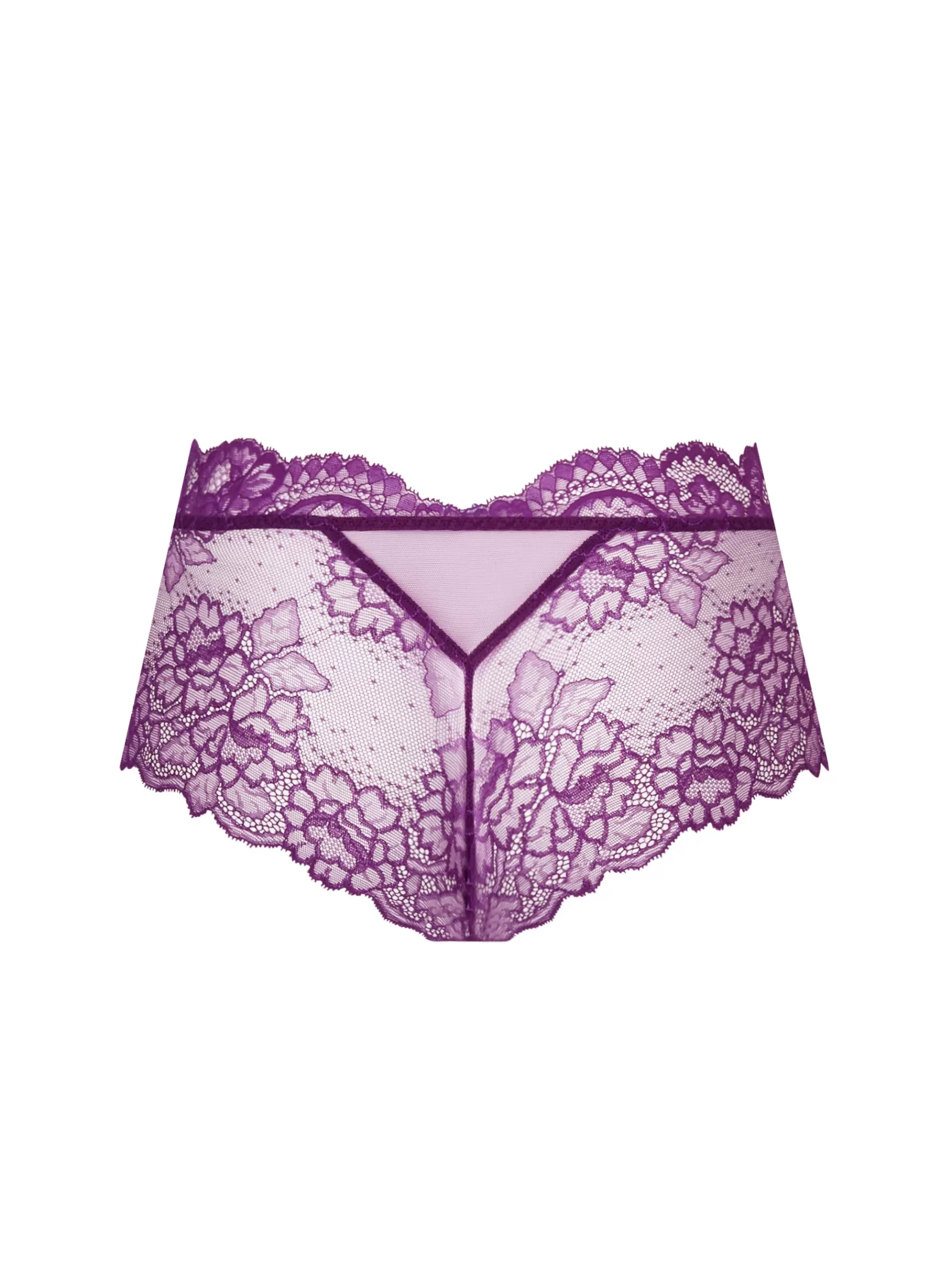 Lise Charmel Italian Briefs | Boyshorts^SUBLIME EN DENTELLE Sublime Iris