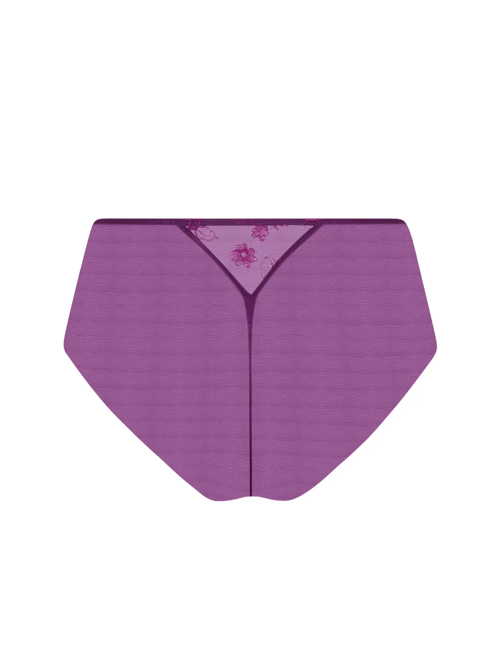 Lise Charmel Italian Briefs | Boyshorts^SUBLIME EN DENTELLE Sublime Iris